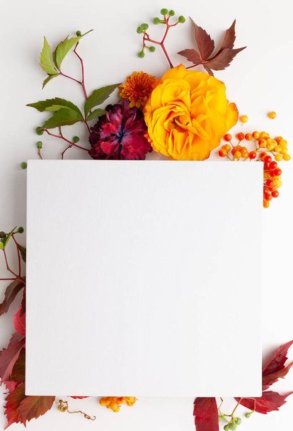 Autumn composition with flowers, leaves and berries on white background. Flat lay, copy space. - Фото, изображение