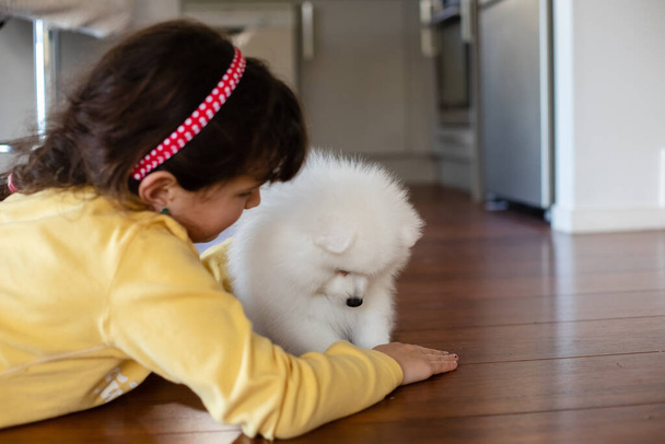 bílý japonec spitz štěně doma - Fotografie, Obrázek