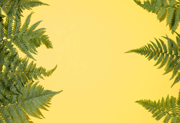Varen bladeren aan beide zijden van de gele achtergrond.Horizontale plaatsing. Plaats voor kopieerruimte - Foto, afbeelding