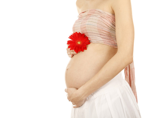 Έγκυος - Φωτογραφία, εικόνα