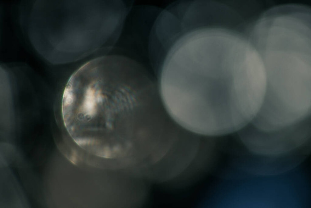 closeup photo of large bokeh circles - Foto, afbeelding
