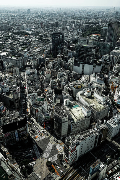 Intersección de Shibuya scramble (tomada de Shibuya Sky) - Foto, Imagen