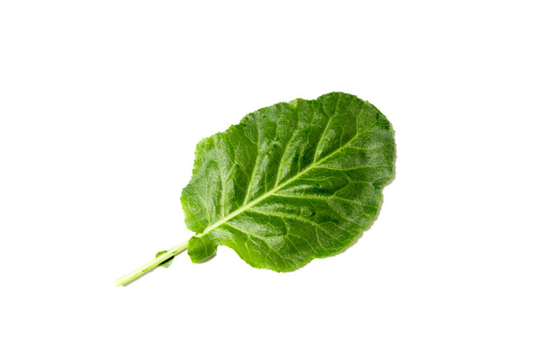 C'est une sorte de légume à feuilles pour ssam. Ssam, l'un des plats coréens, signifie manger de la viande, du riz, de la pâte de soja et d'autres aliments enveloppés dans des légumes-feuilles. La plupart des légumes en feuilles pour ssam sont des légumes crus lavés et parfois blanchis lorsque  - Photo, image