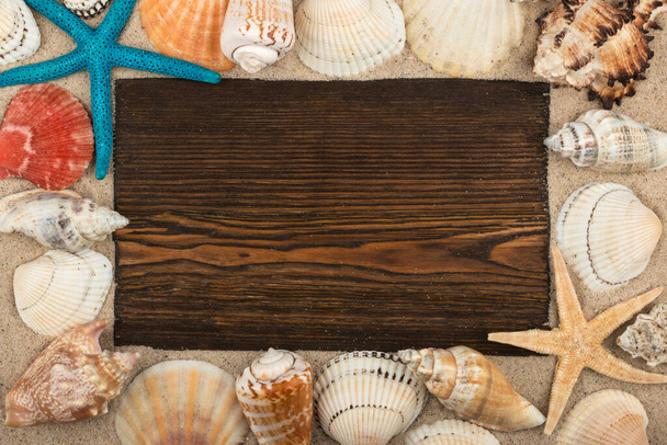 Empty frame of dark wood, seashells and starfish in the sand. With space for your text. View from above - Photo, Image