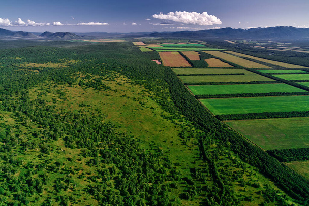 Aerial view of farm fields valley in the Kamchatka in Russia. Agricultural Landscape. - Zdjęcie, obraz