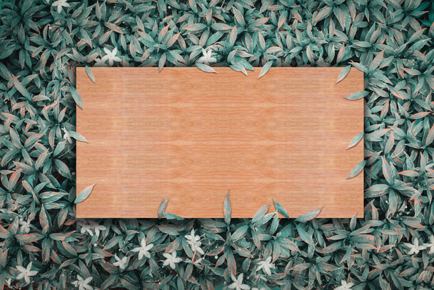 wooden sheet on green leaves nature background - 写真・画像