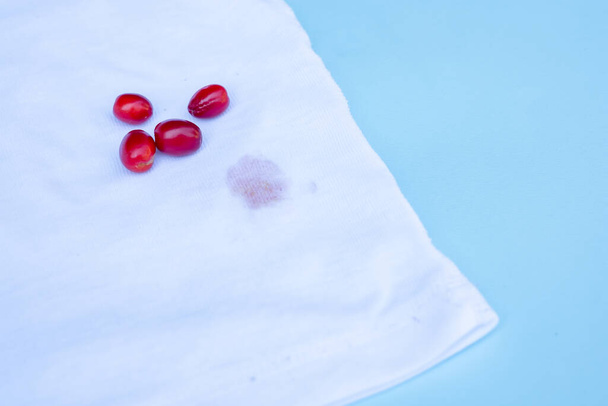 berry barberry stain on clothes.isolated on blue background - Photo, Image
