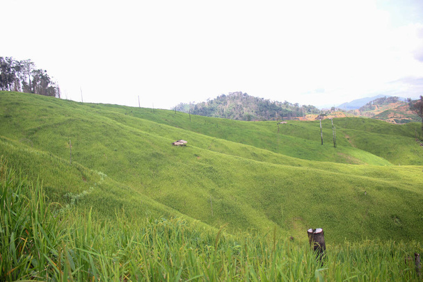 Mountain Farming rýžové pole Pozadí Obrázek - Fotografie, Obrázek