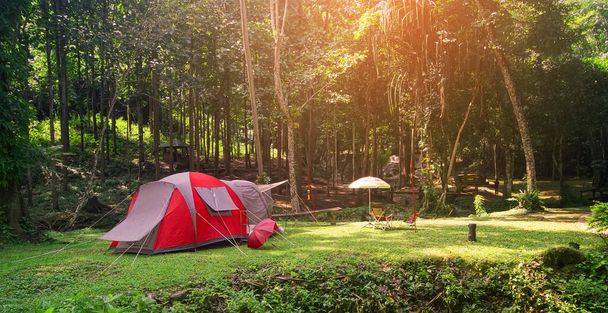 緑の芝生の牧草地に木がある自然景観の赤いキャンプテントとジャングルの滝で休日にピクニックをトレッキングリラックスして冬や夏に休暇旅行Pha Tatで暖かい日差し - 写真・画像