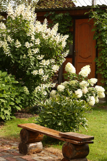 beautiful European garden with log wooden bench tile and white hydrangea bush on the background - Photo, Image