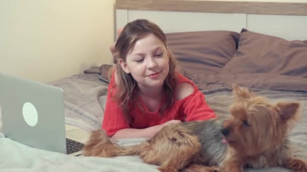 A brunette girl lies on a white bed and study online, next to a small dog. - Video