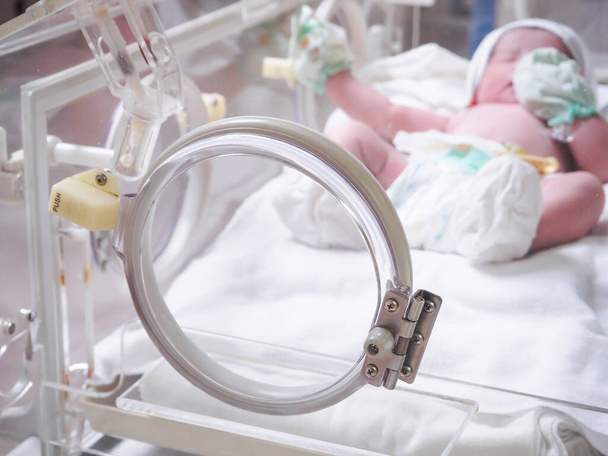Newborn baby girl inside incubator in hospital post delivery room - Zdjęcie, obraz