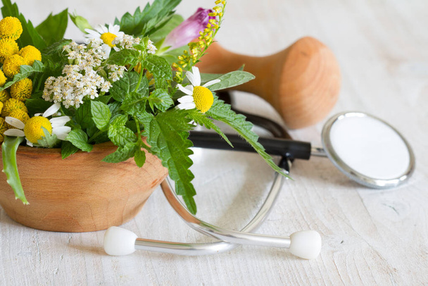 Fresh herbs and stethoscope alternative medicine concept  - Zdjęcie, obraz