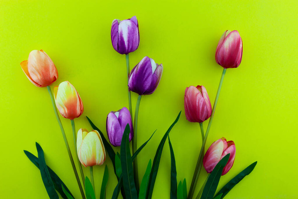 Fiori primaverili di fiori di tulipani su sfondo giallo - Foto, immagini