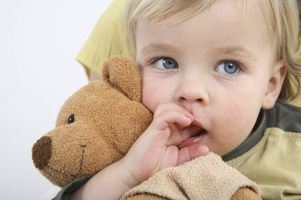 Preschooler holding his soft toy with his fingers in his mouth - Fotografie, Obrázek