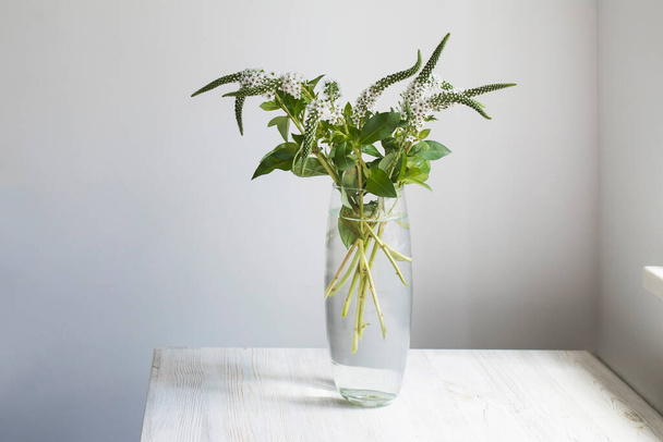 A bouquet of white veronica with white bells in a tall narrow vase on a grey table on the white background. - Foto, imagen