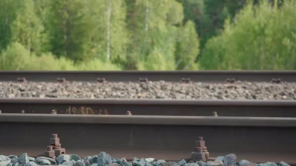 Schieten van meisje wandelen op de spoorweg in de zomer - Video