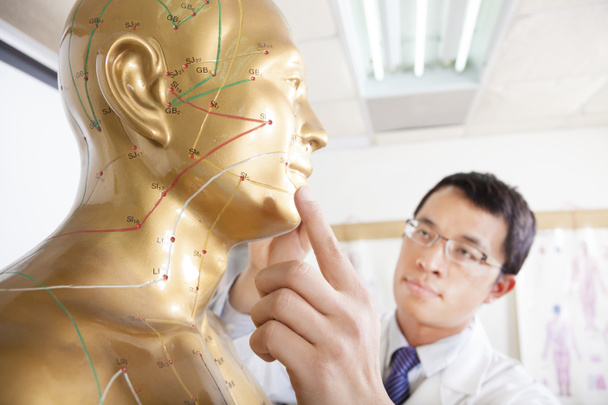čínská medicína doktor vyučování acupoint na modelu člověka - Fotografie, Obrázek