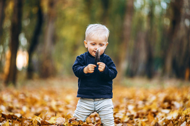 Little cute baby boy have fun outdoors in the park in autumn time - Fotografie, Obrázek