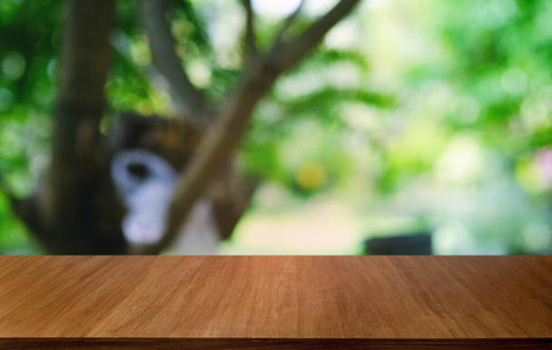 レストランの抽象的なぼやけたボケの背景の前に空の暗い木製のテーブル。製品の表示やモンタージュに使用できます。  - 写真・画像