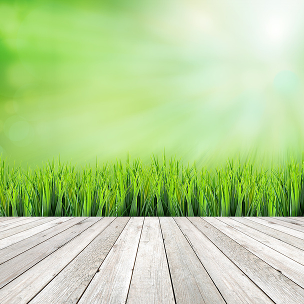 Holzplanke auf grünem natürlichen abstrakten Hintergrund - Foto, Bild