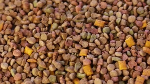 Alimentos coloridos para animais de estimação secos - Filmagem, Vídeo