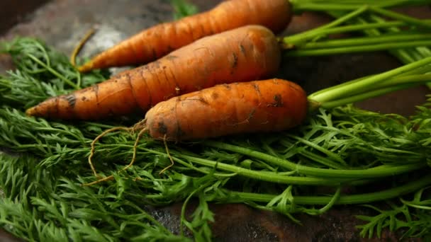 plans rapprochés de carottes mûres allongées sur une table rustique - Séquence, vidéo