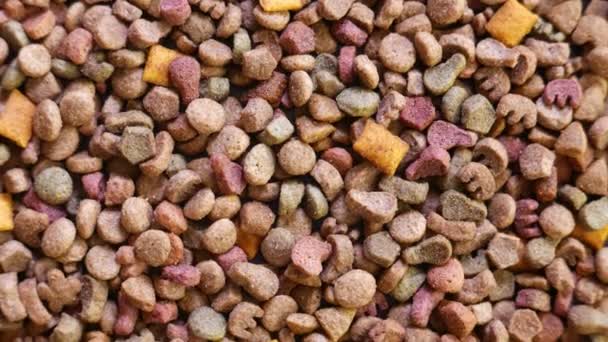 Colorido alimento seco para mascotas - Imágenes, Vídeo