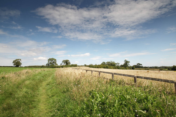 Landland image of farm land in the oxfordshire countryside england - Фото, изображение