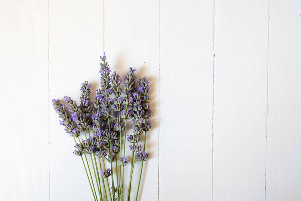 Hromada levandulových květin ležící na bílém dřevěném pozadí - Fotografie, Obrázek