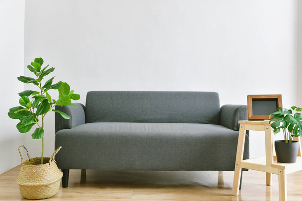 Diseño interior de la sala de estar, decoración casera con sofá de tela moderna y plantas de interior verdes para la purificación del aire interior. - Foto, imagen