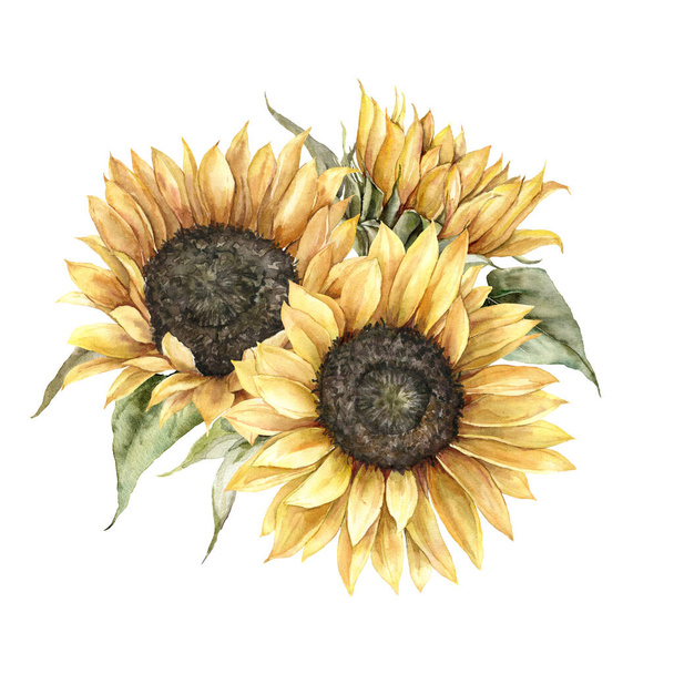 Watercolor autumn bouquet with sunflowers. Hand painted rustic card isolated on white background. Floral illustration for design, print, fabric or background. - Photo, Image
