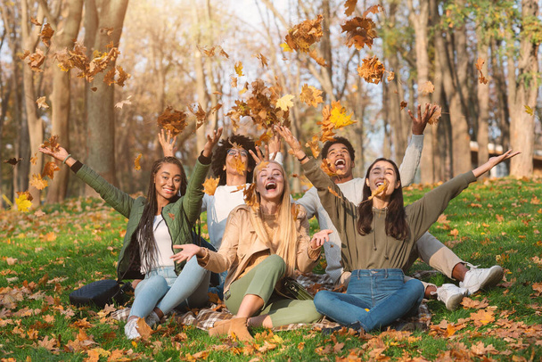 Young multiracial friends playing with autumn leaves in park - Photo, Image