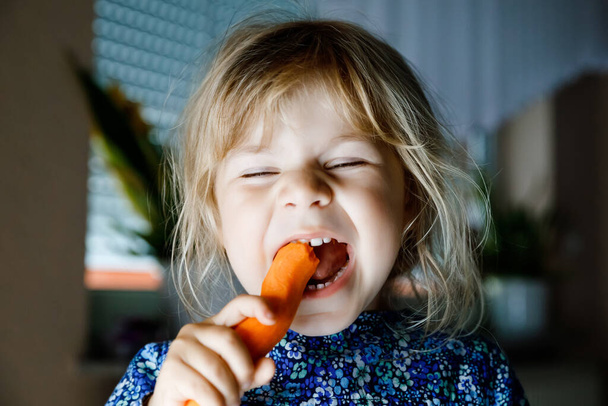 Cute adorable toddler girl holding and biting into fresh carrot. Beatuiful child having healthy snack. Smiling happy kid eating bio organic vegetables - Photo, Image