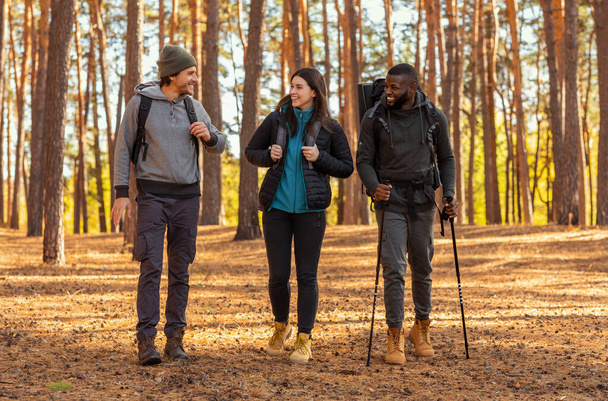 Weseli turyści rozmawiający podczas spaceru po lesie - Zdjęcie, obraz
