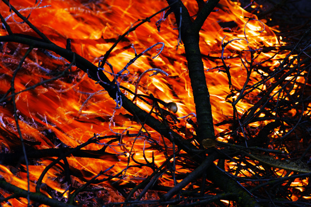 De hel in het bos - Foto, afbeelding