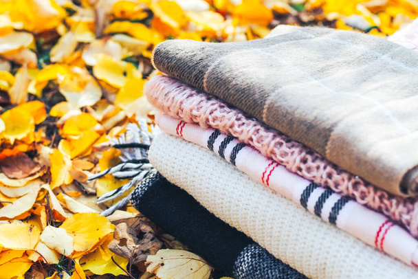 Cozy knitted blankets and scarves on a background of autumn foliage. - Photo, Image