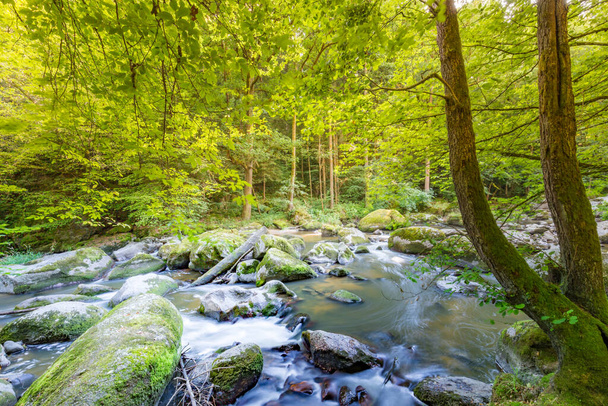 Καταρράκτης στο δάσος και ο ήλιος λάμπει, βράχια και βρύα κάτω από πράσινα δέντρα. Καλοκαιρινό δάσος. Όμορφο ποτάμι στη φύση του δάσους. Ειρηνικό τονισμένο φόντο της φύσης - Φωτογραφία, εικόνα