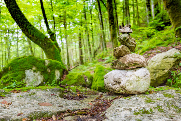 Πέτρες σε ισορροπία, σωρός από πέτρες στο δάσος. Πέτρες στοιβαγμένες σε ένα πάρκο το ηλιοβασίλεμα με λουλούδια στο βάθος τονισμένα. Zen στυλ κήπου, πράσινο δάσος φύση - Φωτογραφία, εικόνα