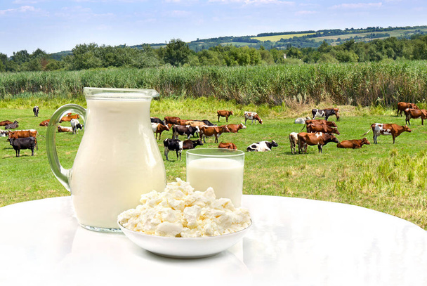 Leite e queijo de casa de campo em contexto de prados com vacas. - Foto, Imagem
