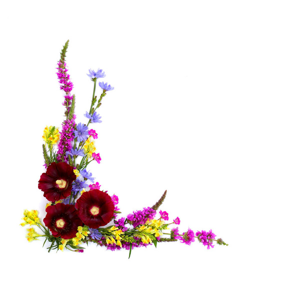 野生の花のフレーム:マルヴァ(Alcea rugosa, Hollyhock) 、リュスラム・サリチリア、エピロビウム、リナリア・ヴァルガリス(toad亜麻) 、チコリは白い背景にテキストのためのスペースがあります。トップビュー、フラットレイアウト - 写真・画像