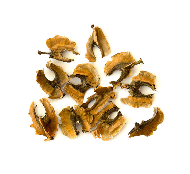 Partitions walnut (Juglans regia) on a white background - Photo, Image