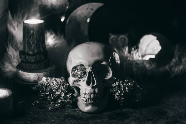 Scena mistica occulta di stregoneria di Halloween rituale: teschio umano, candele, fiori secchi, luna e gufo. Foto in bianco e nero. - Foto, immagini