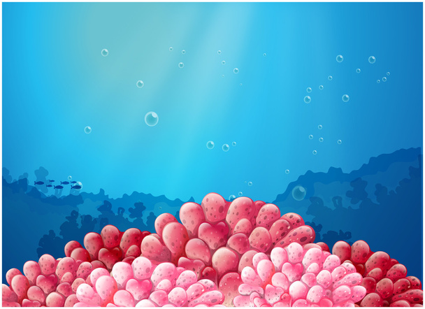 roze koralen onder de zee - Vector, afbeelding