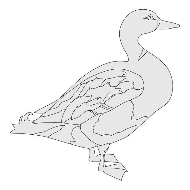 черно-белая утка, векторная иллюстрация, изоляция на белом фоне - Вектор,изображение