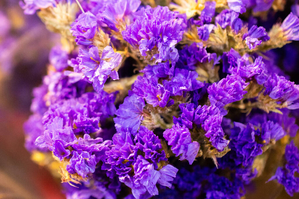 värjätty kuiva värikäs kukka doceration tarkoituksiin - Valokuva, kuva