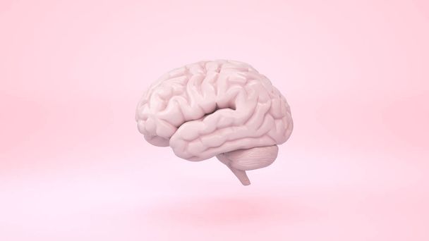 Рожевий мозок спереду на мінімальному тлі, мислення комічної мовної бульбашки. 3D візуалізація
. - Фото, зображення