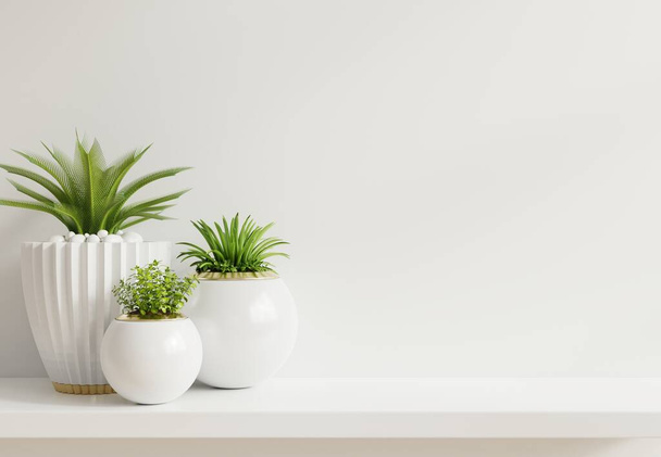 棚の木の植物とモックアップの壁、 3Dレンダリング - 写真・画像