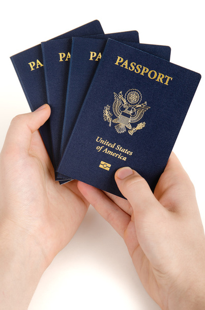 holding passport - Photo, Image