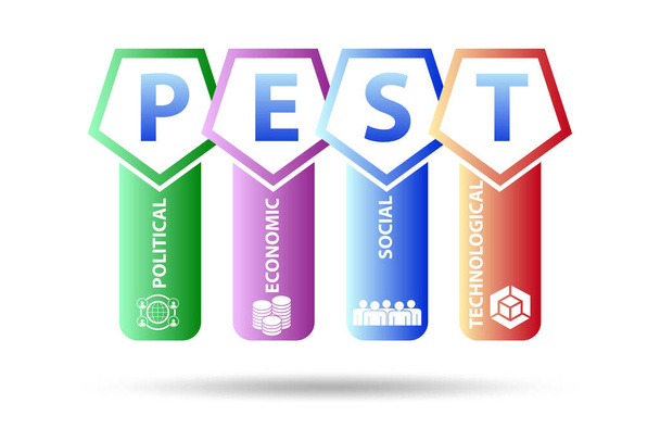 PEST analysis concept in business illustration - Photo, Image